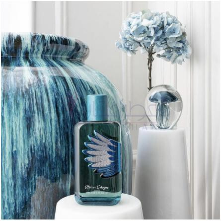 Orange Sanguine Love Birds Collector-آتلیه کلن اورنج سنگوئین لاو بردز کالکتور