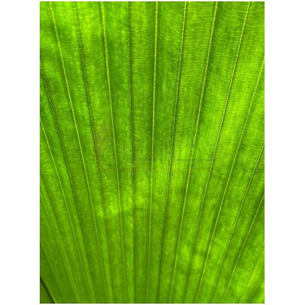 Vert-کلاندستین لابوراتوریوز ورت