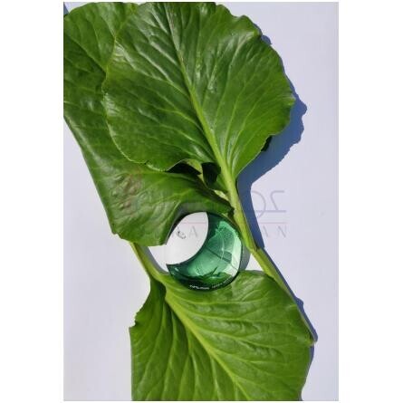 A Drop d'Issey Essentielle-ایسی میاکه ا دراپ د ایسی اسنتیل