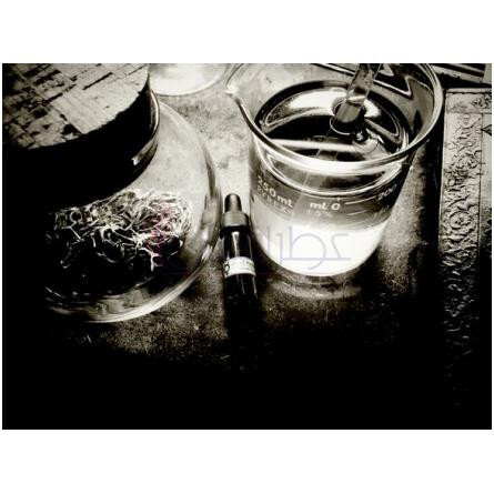 Cunning Man-هاوس اف اورفیوس چانینگ من