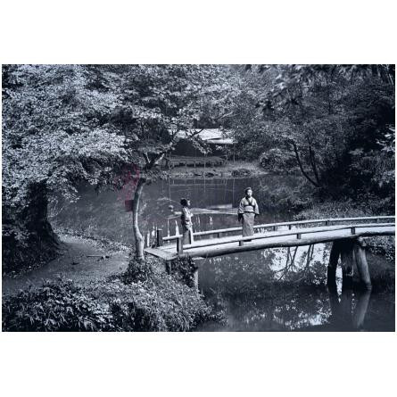 Edo Park-چریگان ایدو پارک