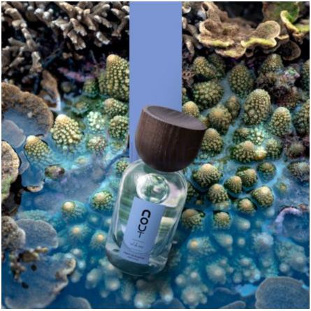 Sel De Mer-نوت سل دی مر