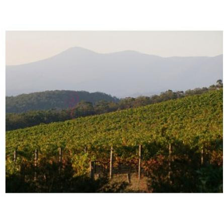 Kalgoorlie-بود پارفومز کالگورلی