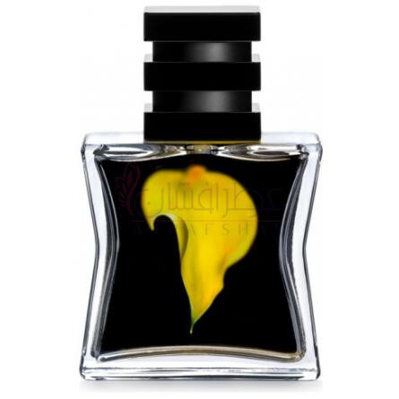 Nº 23-اس جی 79 اس تی اچ ال ام شماره 23