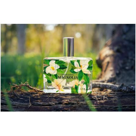 Magnolia-فراگونارد مگنولیا