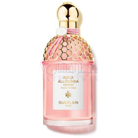 Rosa Rossa Harvest-گرلن رزا رزا هاروست