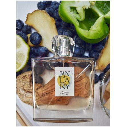 Gong-جَنیوئری سن پروجکت گونگ