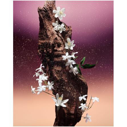 Fleur du Désert-لویی ویتون فلور دو دزرت