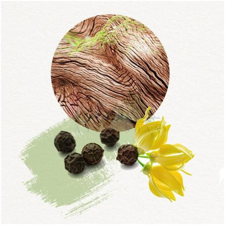 Dojou For Him-آنایاکه دوجو فور هیم