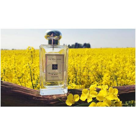 White Jasmine & Mint-جو مالون وایت جاسمین اند مینت