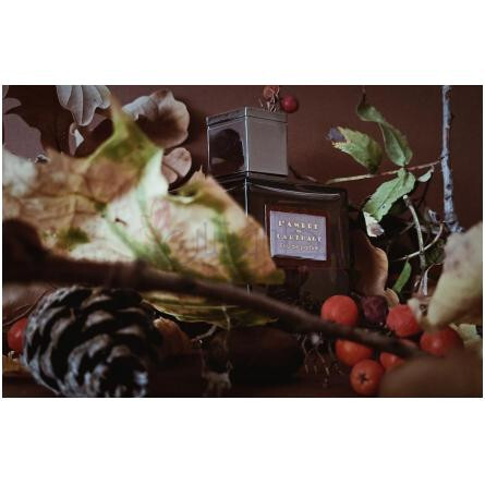 Isabey L'ambre de Carthage-ایزابی له امبر دی کارتیج