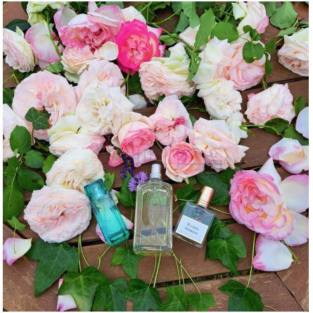 Aqua Media Cologne Forte-میسون فرانسیس کورکجان اکوا مدیا کلن فورته