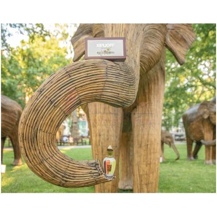 CoExistence-زرجوف کوئکسیستنس