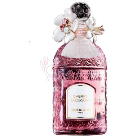 Cherry Blossom Millésime 2024-گرلن چری بلوسوم میلسیم 2024