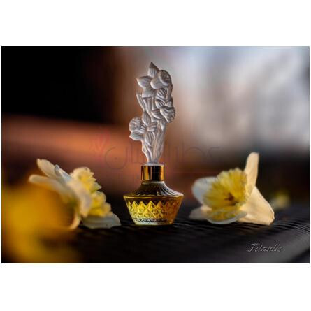 Elusive-اوان ایلوسیو