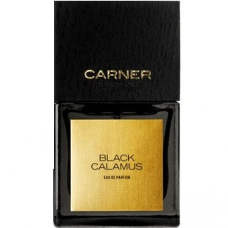 Black Calamus-کارنر بارسلونا بلک کالاموس