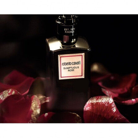 Sumptuous Rose-روبرتو کاوالی سامتوس رز