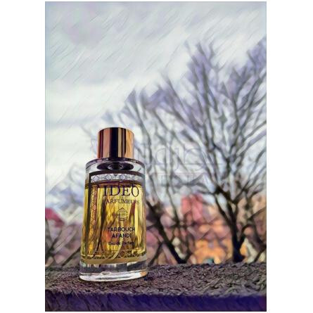 Tarbouch Afandi-ای دی ای او پارفومرز تاربوچ افندی