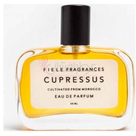 Cupressus-فیله فرگرنسز کیوپریسوس