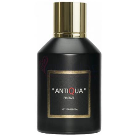 Miss Tuberosa-آنتیکوا فیرنز میس توبرزا