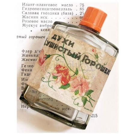 Sweet Pea Душистый горошек-نوول ایتویل سوییت پی