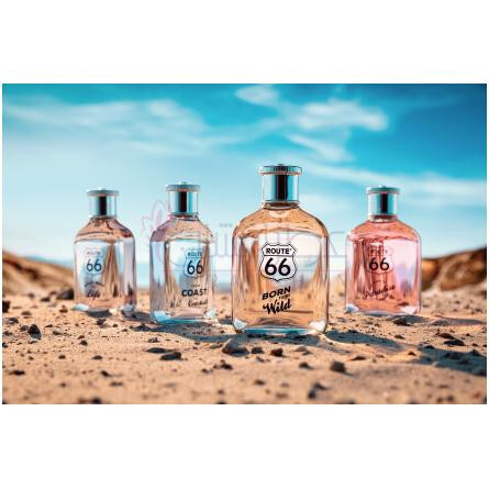 Born To Be Wild-روت 66 بورن تو بی وایلد