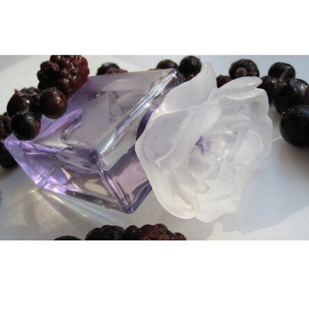 Couleur Kenzo Violet-کنزو کولر کنزو ویولت