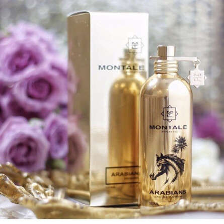 Arabians-مونتال عربینز