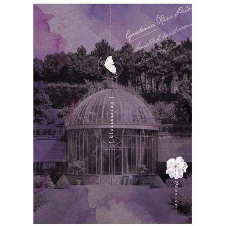 Hothouse Flower-اینه که هات هاوس فلاور