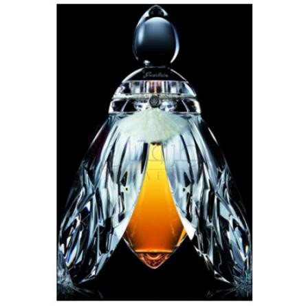 Reve de Lune-گرلن رو د لون