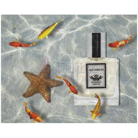 Aquarium-دارک بیت پارفومز اکواریوم