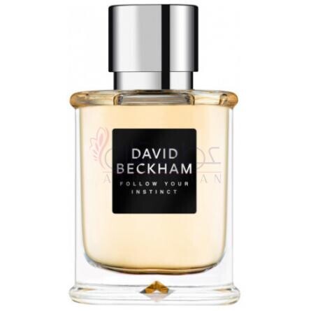 Follow Your Instinct-دیوید بکام فالو یور اینستینکت