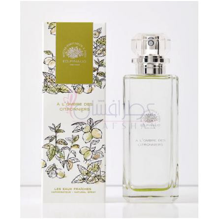 A l'Ombre des Citronniers-اد پینو ا لومبر دس سیترونیرز