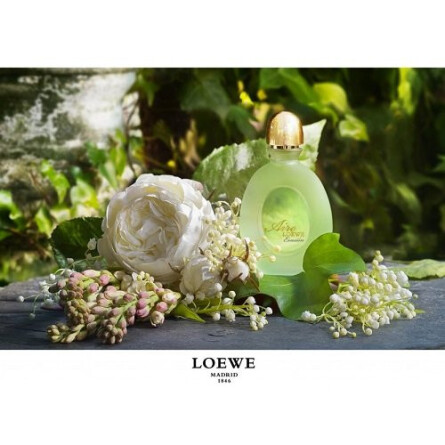 Aire Evasion-لووه ایره اوشن