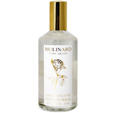 Rose Turkia-لو گالیون رز تورکیا