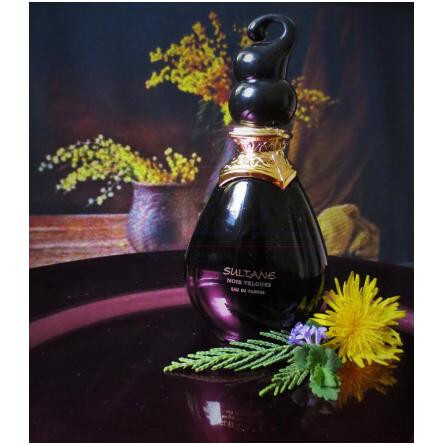 Sultane Noir Velour-جین آرتس سلطان نویر ولور