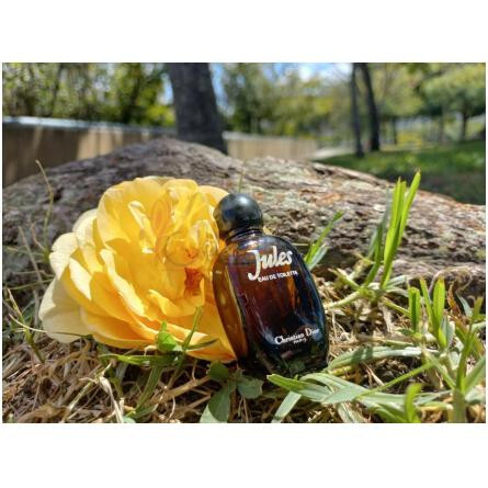 Jules-دیور جولز