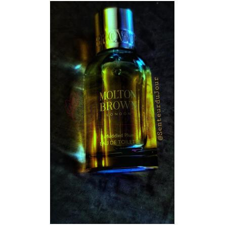 Muddled Plum-مولتون براون مادلد پلام