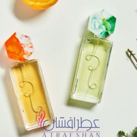 VERSCHIL-رویک ورسچیل