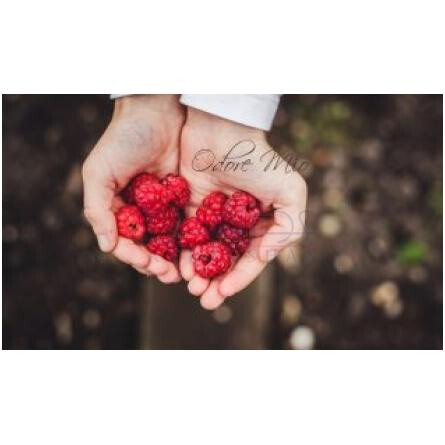 Italian Leather-اودور میو ایتالین لدر