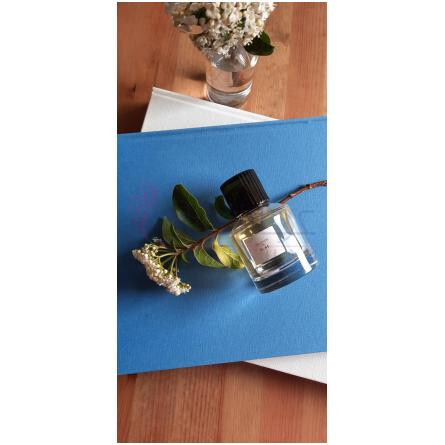 Elae-میسون ترودون ایلای