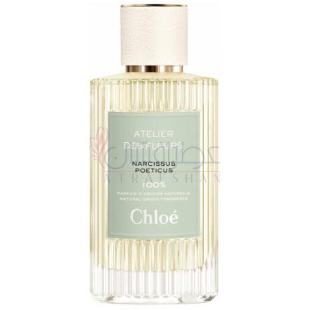 Narcissus Poeticus-کلوهه نارسیسوس پوئتیکوس