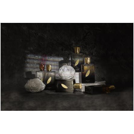 Matsya-نایاشیا ماتسيا