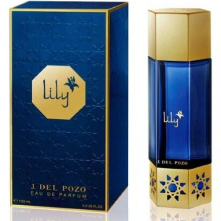 Desert Flowers Lily-جسوس دل پوزو دسرت فلورز لیلی