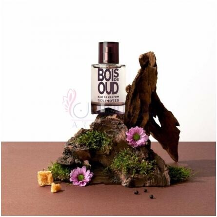 Bois de Oud-سولینوتس بویس دی عود