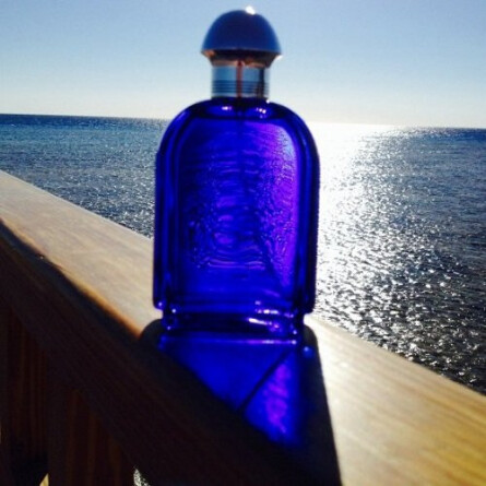 Jaguar Evolution-جگوار اولوشن