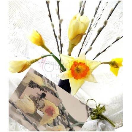 Narciss-اسکوئیس پارفومز نارسیس