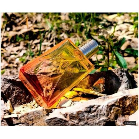 Bronze Goddess Eau Fraiche Skinscent 2015-استی لودر برونز گادس او فرش اسکین سنت 2015