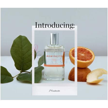 Montecito-ابوت نیویورک سیتی مونتسیتو