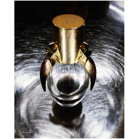 Fame-لیدی گاگا فیم